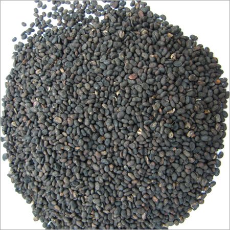 Black Cumin Seed Carrier Oil - Virgin 1